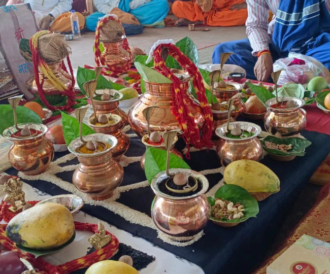 कालसर्प दोष निवारण पूजा
