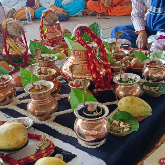Pujan kaal Sarp Dosh