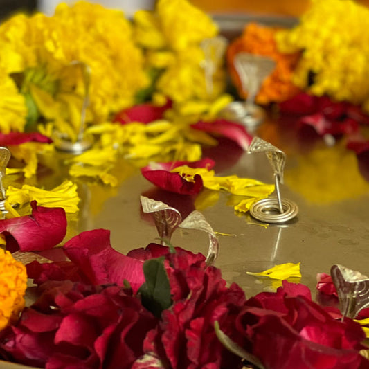 कालसर्प दोष निवारण पूजा